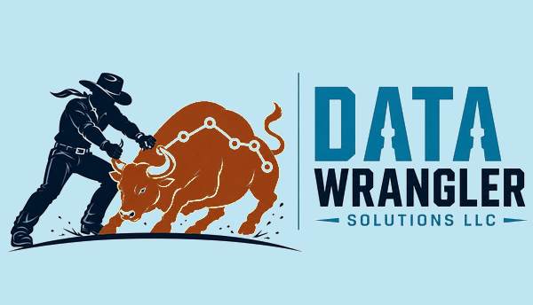Data Wrangler Solutions logo